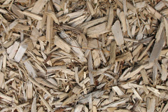 biomass boilers Llanddulas